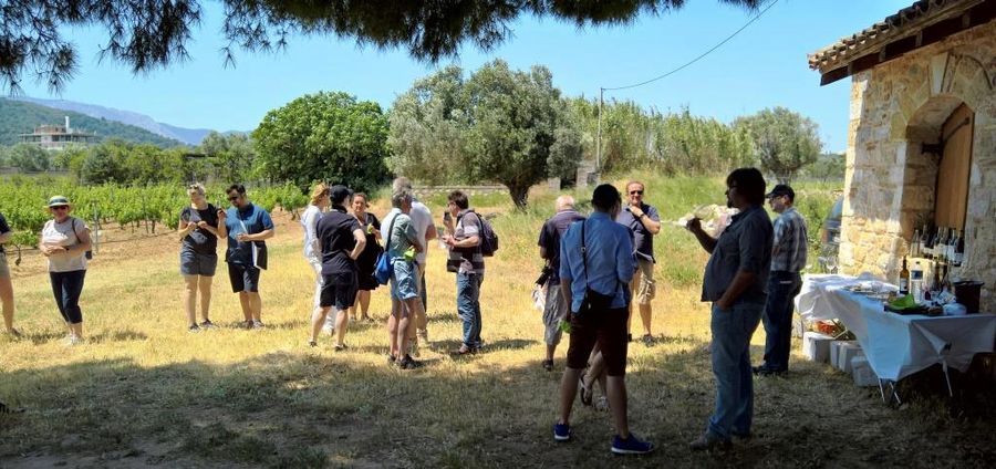 A group of tourists tasting wines outside at Georgas Family vineyards